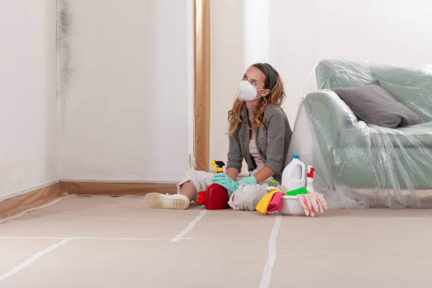 Reliable Basement Mold Removal contractor in Woodbury, NJ by Cheap Mold Removal